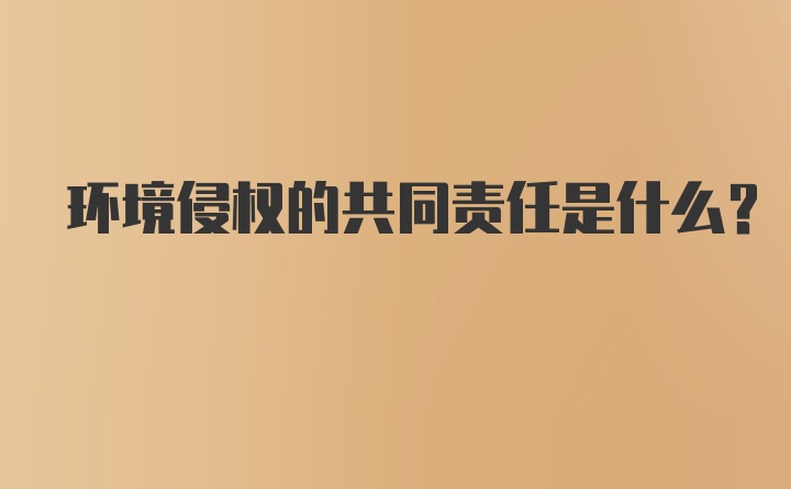 环境侵权的共同责任是什么？