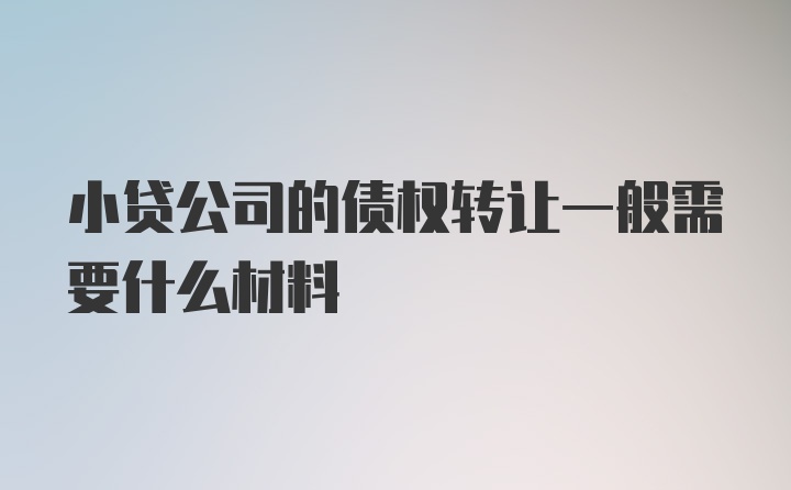 小贷公司的债权转让一般需要什么材料