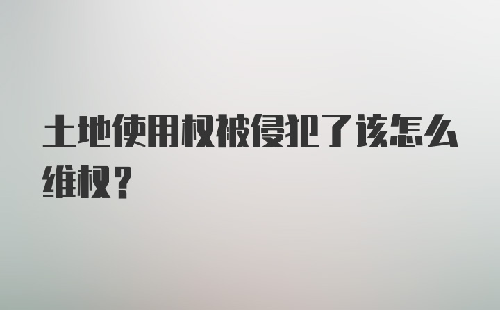 土地使用权被侵犯了该怎么维权？