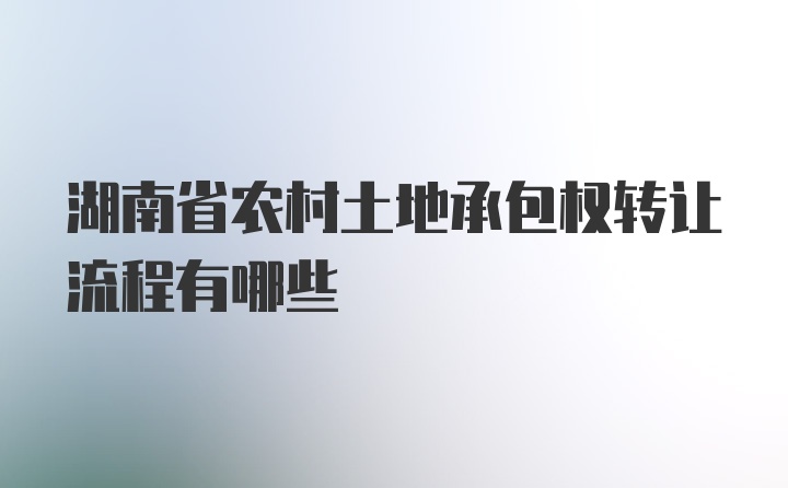 湖南省农村土地承包权转让流程有哪些