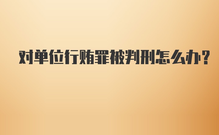 对单位行贿罪被判刑怎么办？