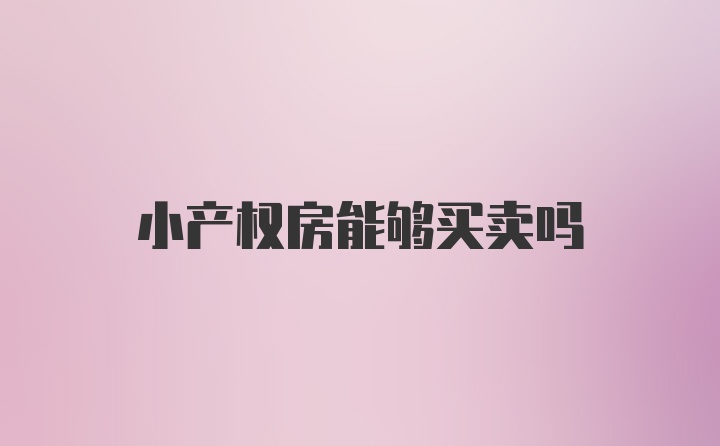 小产权房能够买卖吗