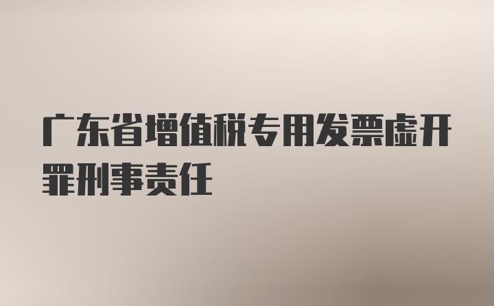 广东省增值税专用发票虚开罪刑事责任