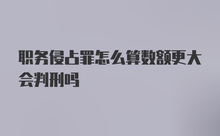 职务侵占罪怎么算数额更大会判刑吗