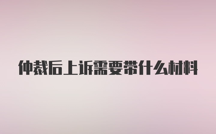 仲裁后上诉需要带什么材料