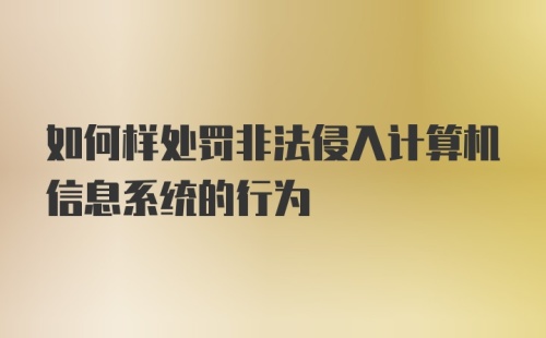 如何样处罚非法侵入计算机信息系统的行为