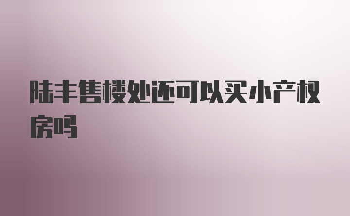 陆丰售楼处还可以买小产权房吗