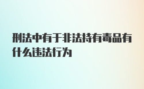 刑法中有于非法持有毒品有什么违法行为