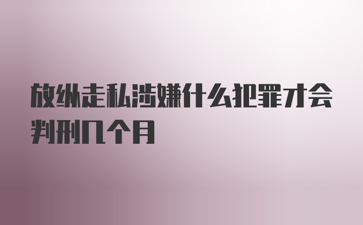 放纵走私涉嫌什么犯罪才会判刑几个月