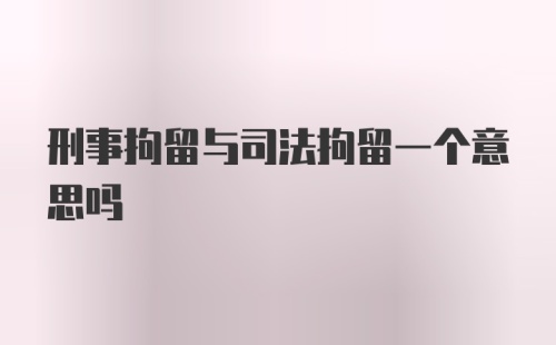 刑事拘留与司法拘留一个意思吗