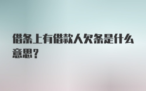 借条上有借款人欠条是什么意思?