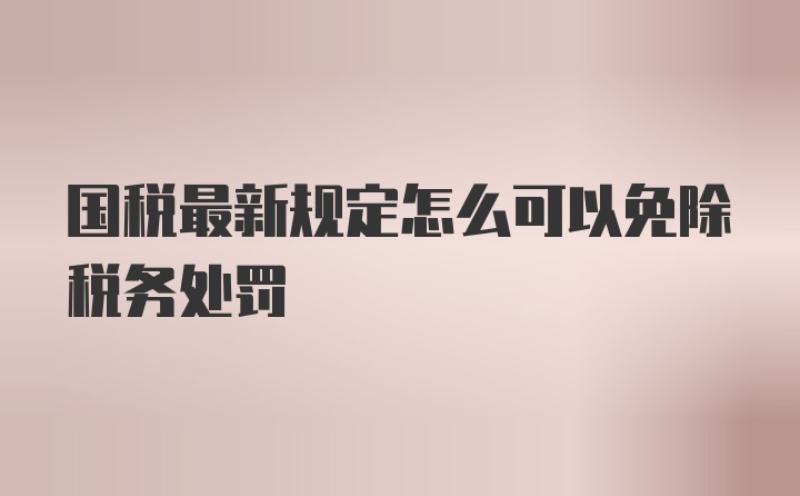 国税最新规定怎么可以免除税务处罚