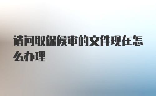 请问取保候审的文件现在怎么办理