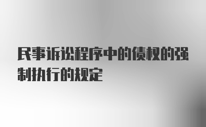 民事诉讼程序中的债权的强制执行的规定