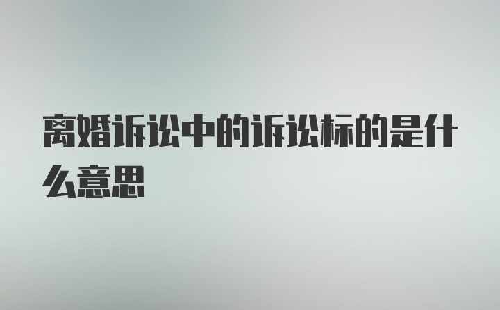 离婚诉讼中的诉讼标的是什么意思