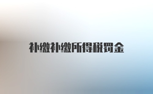 补缴补缴所得税罚金