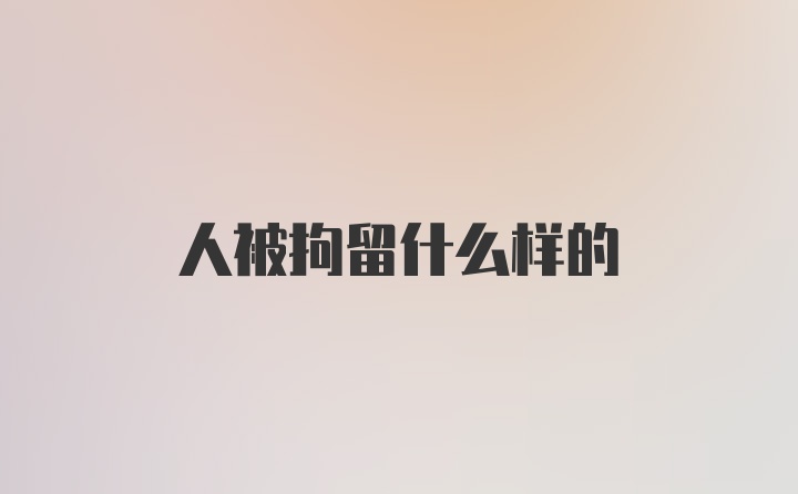 人被拘留什么样的