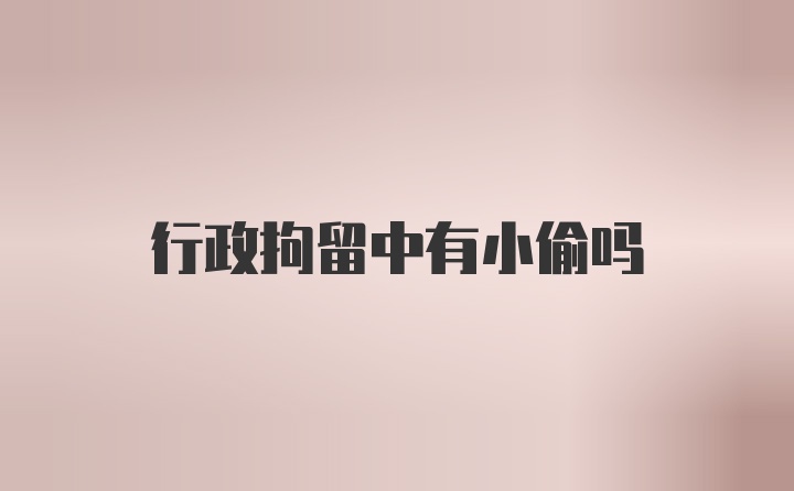 行政拘留中有小偷吗