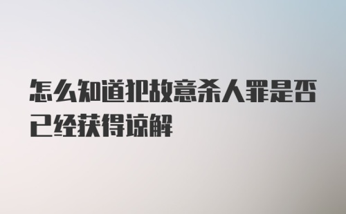 怎么知道犯故意杀人罪是否已经获得谅解