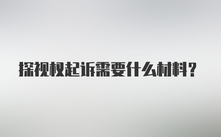 探视权起诉需要什么材料？