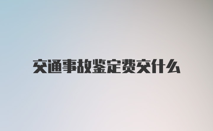 交通事故鉴定费交什么