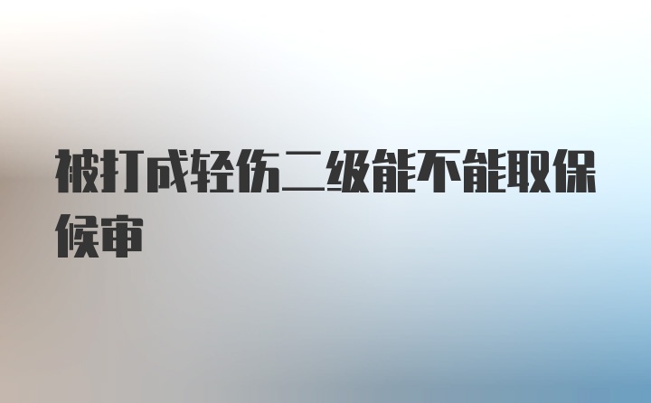 被打成轻伤二级能不能取保候审