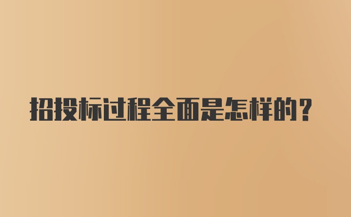 招投标过程全面是怎样的？