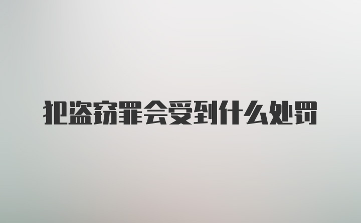 犯盗窃罪会受到什么处罚