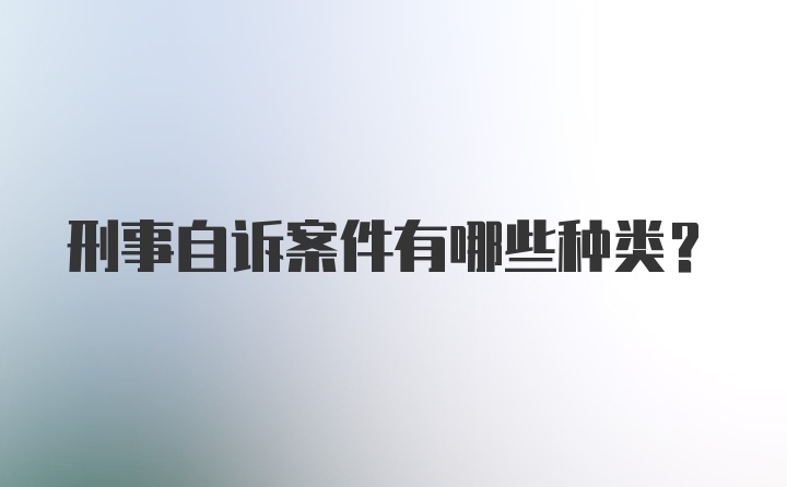 刑事自诉案件有哪些种类？