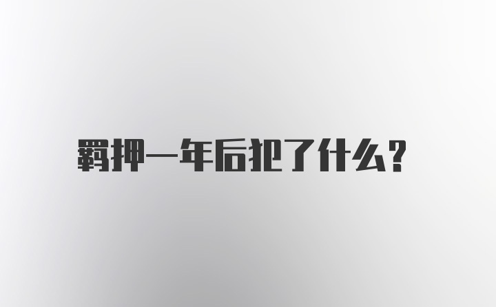 羁押一年后犯了什么？