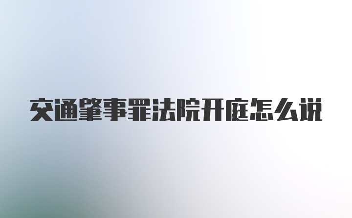 交通肇事罪法院开庭怎么说