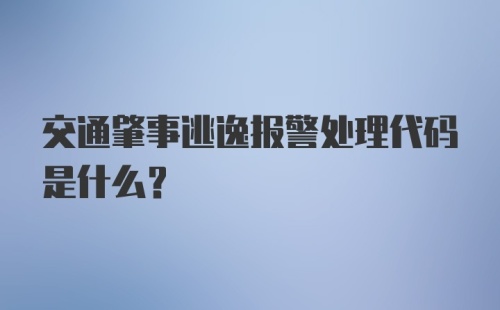 交通肇事逃逸报警处理代码是什么？