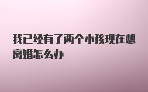 我已经有了两个小孩现在想离婚怎么办