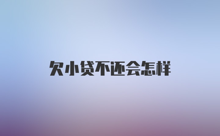 欠小贷不还会怎样