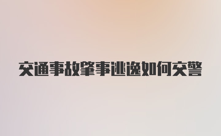 交通事故肇事逃逸如何交警