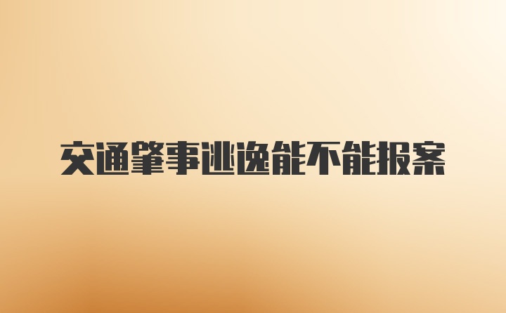 交通肇事逃逸能不能报案