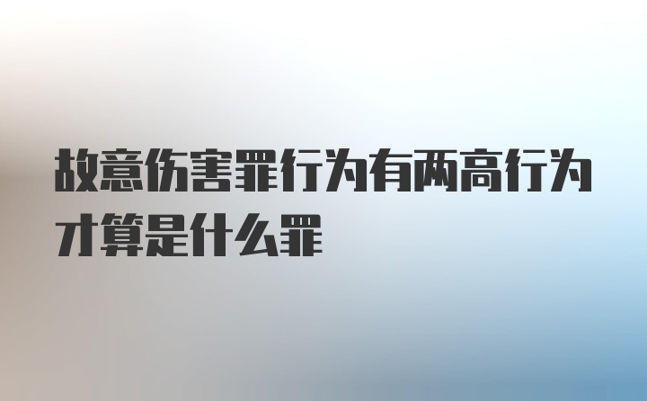 故意伤害罪行为有两高行为才算是什么罪