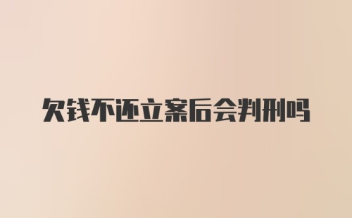 欠钱不还立案后会判刑吗