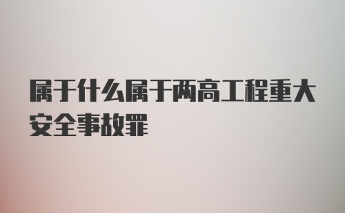 属于什么属于两高工程重大安全事故罪