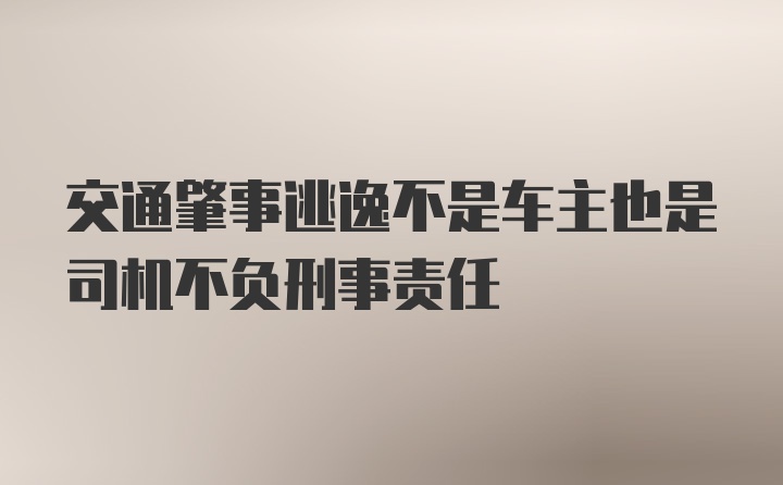 交通肇事逃逸不是车主也是司机不负刑事责任