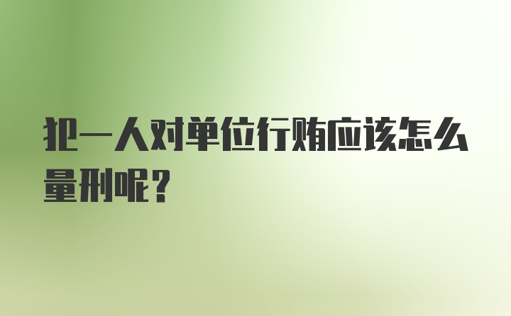 犯一人对单位行贿应该怎么量刑呢？