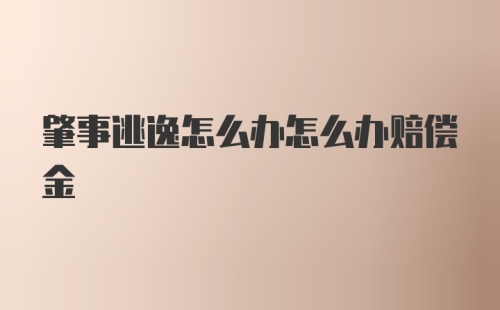 肇事逃逸怎么办怎么办赔偿金