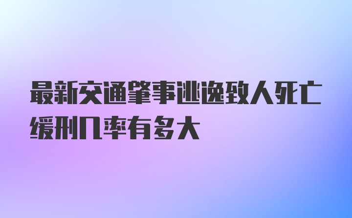 最新交通肇事逃逸致人死亡缓刑几率有多大