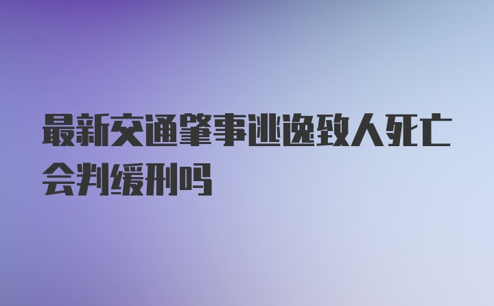 最新交通肇事逃逸致人死亡会判缓刑吗