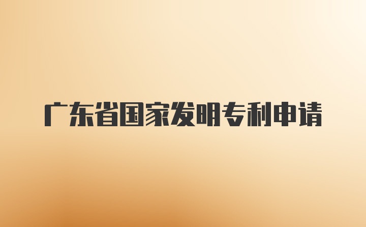 广东省国家发明专利申请