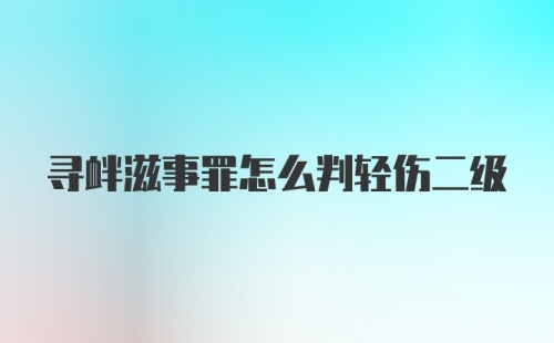 寻衅滋事罪怎么判轻伤二级