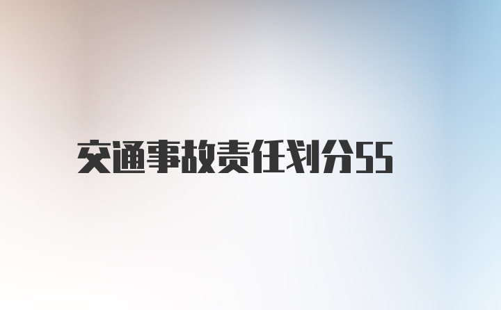 交通事故责任划分55