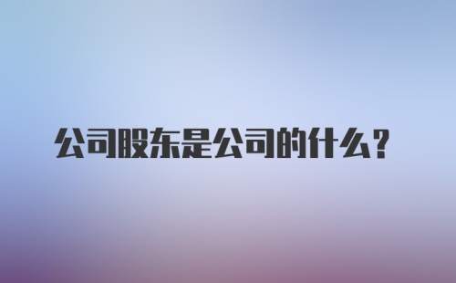 公司股东是公司的什么?