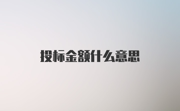 投标金额什么意思