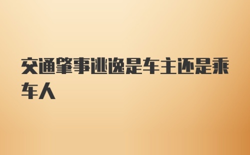 交通肇事逃逸是车主还是乘车人